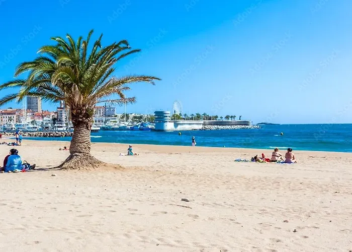 Frejus Plage, 30 Metres De La Plage, Wifi, Tout A Pieds !